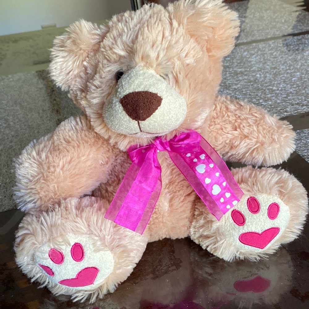 Teddy Bear, Kids of America Corp, Stuffed Animal, Brown, Fluffy, Soft,